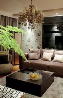 现代室内装饰中的主栽植物为什么喜欢用垂榕