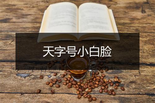 天字号小白脸