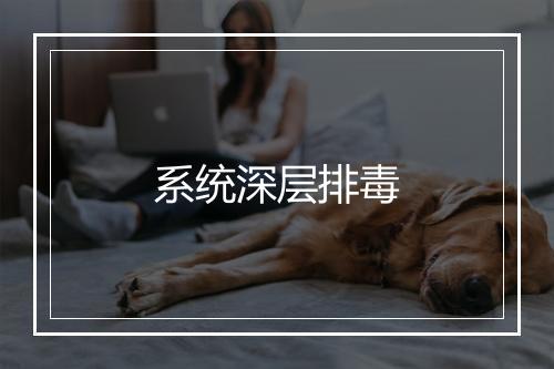 系统深层排毒