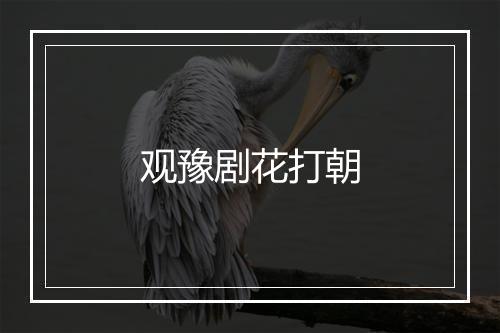 观豫剧花打朝