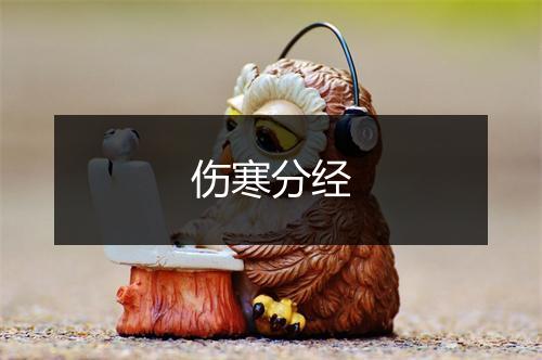 伤寒分经