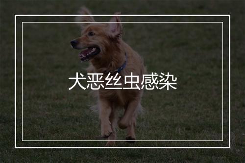 犬恶丝虫感染