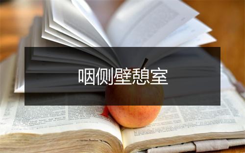 咽侧壁憩室