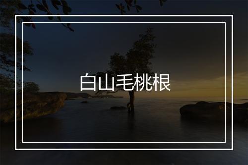 白山毛桃根