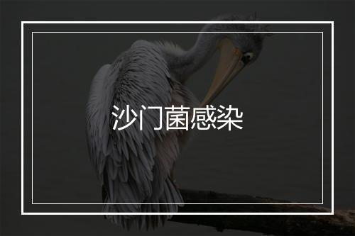 沙门菌感染