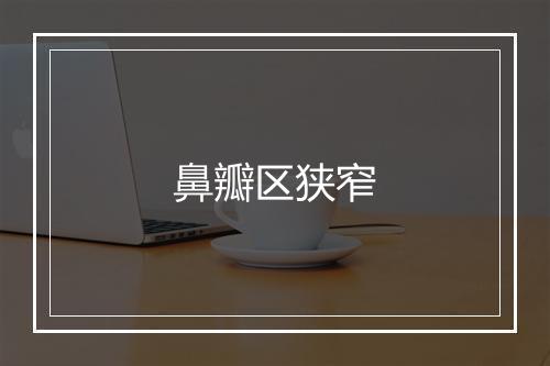 鼻瓣区狭窄