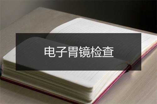 电子胃镜检查