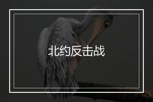 北约反击战