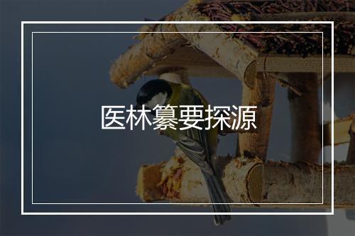 医林纂要探源