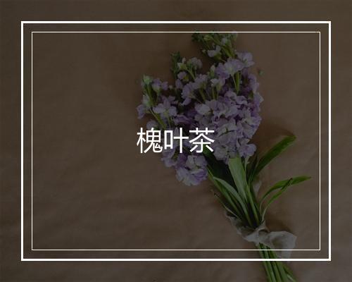 槐叶茶