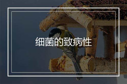 细菌的致病性