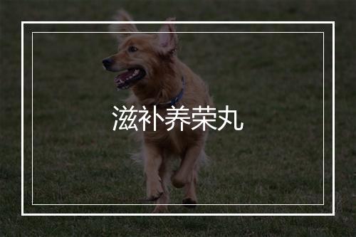 滋补养荣丸