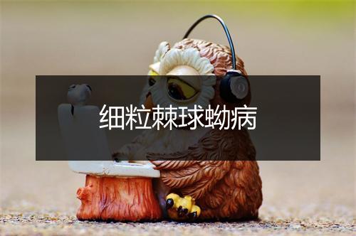 细粒棘球蚴病