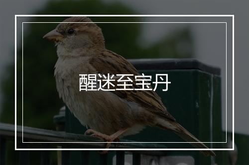 醒迷至宝丹