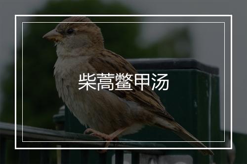 柴蒿鳖甲汤