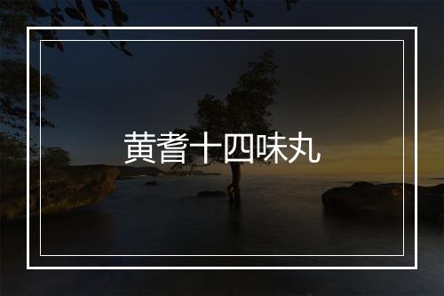 黄耆十四味丸