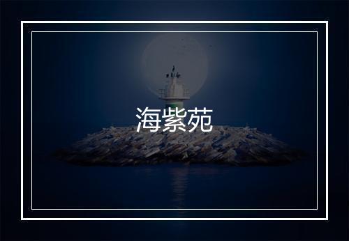 海紫苑