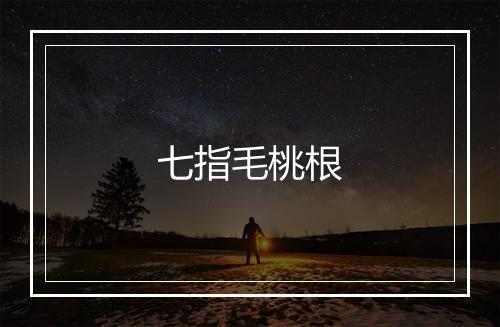 七指毛桃根