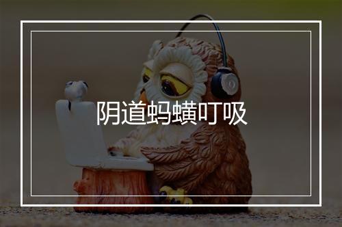 阴道蚂蟥叮吸