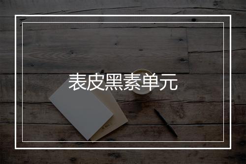 表皮黑素单元