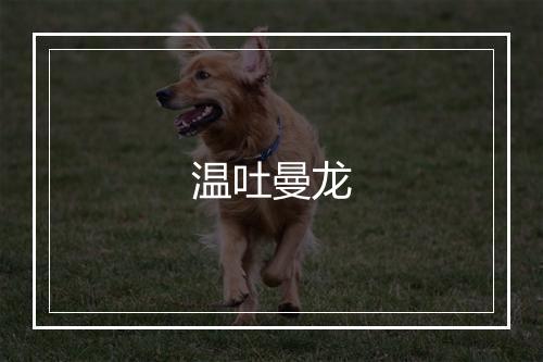 温吐曼龙