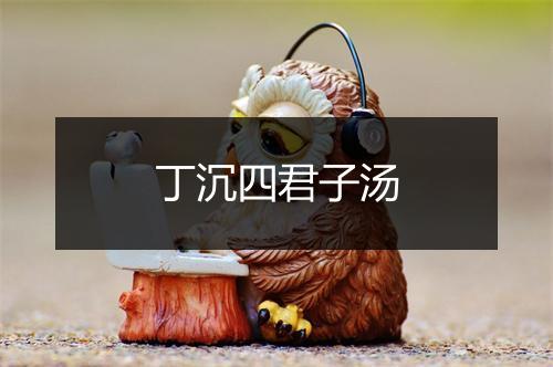 丁沉四君子汤