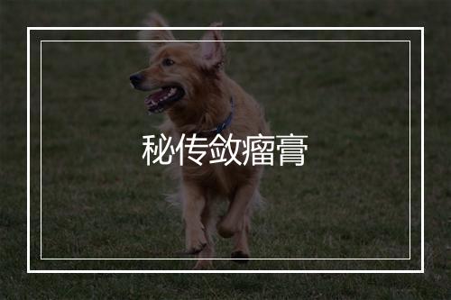 秘传敛瘤膏