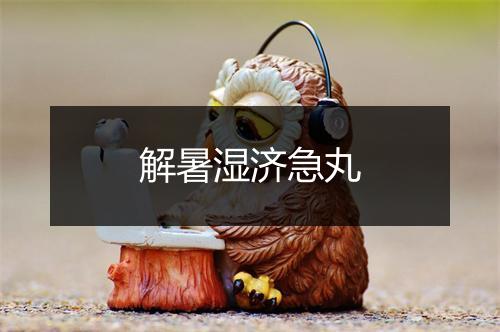 解暑湿济急丸