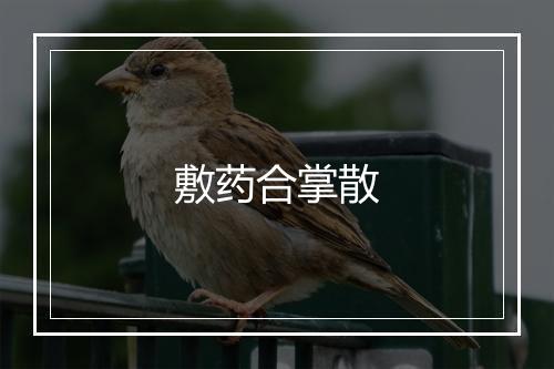 敷药合掌散