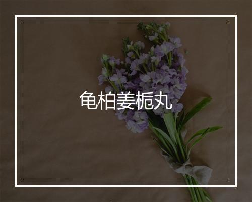 龟柏姜栀丸