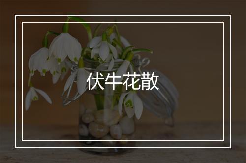 伏牛花散