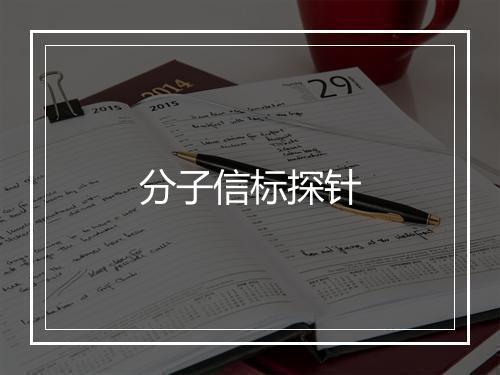 分子信标探针