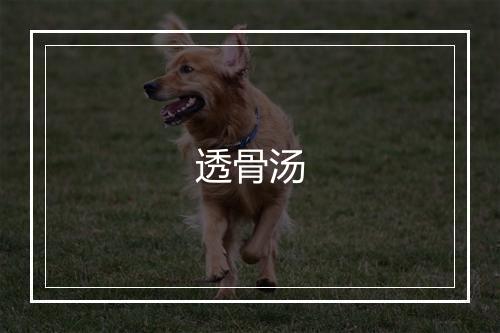 透骨汤