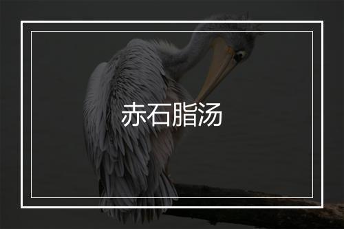 赤石脂汤