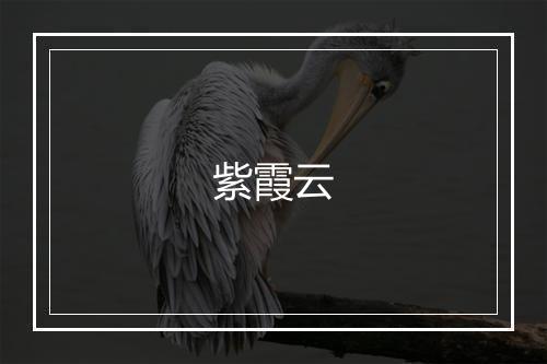 紫霞云