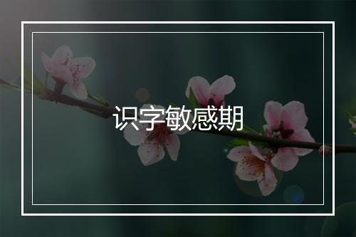 识字敏感期