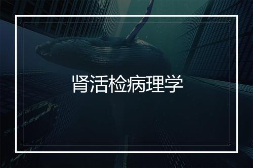 肾活检病理学