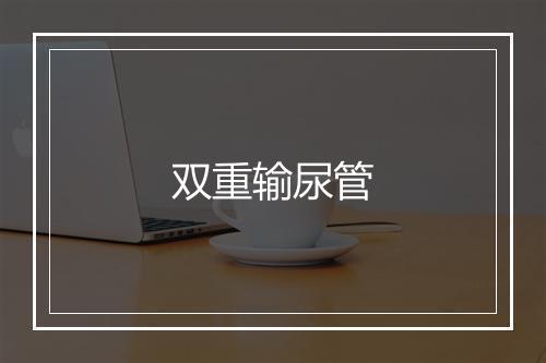 双重输尿管