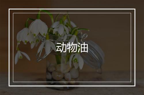 动物油