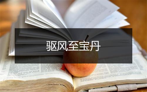 驱风至宝丹