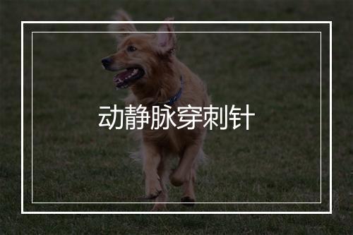 动静脉穿刺针