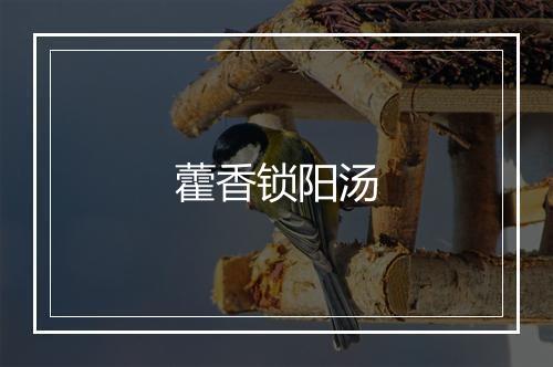 藿香锁阳汤