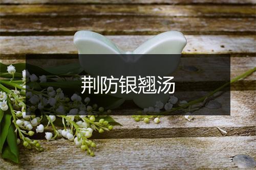 荆防银翘汤