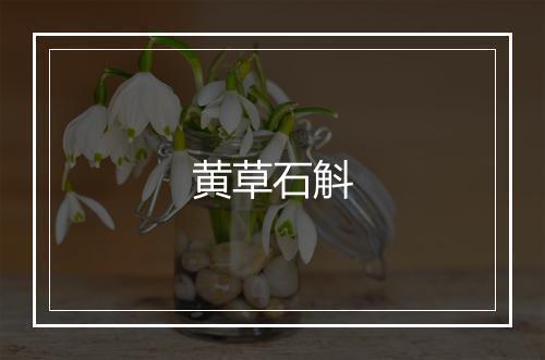 黄草石斛