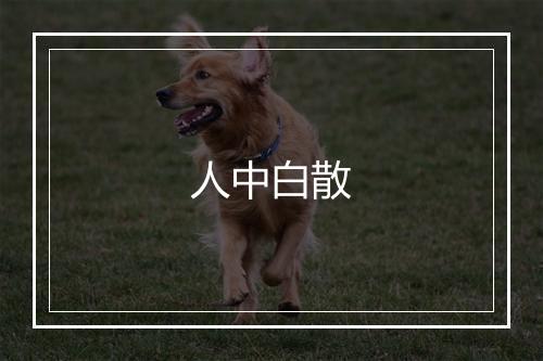 人中白散