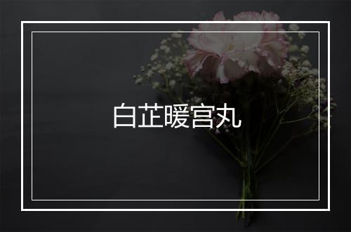 白芷暖宫丸