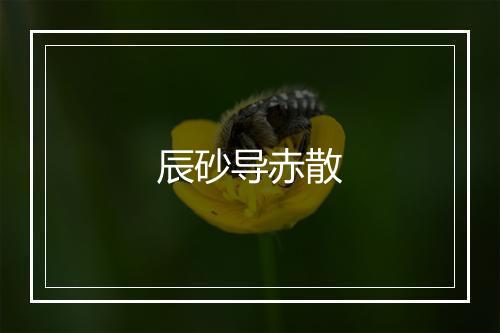 辰砂导赤散