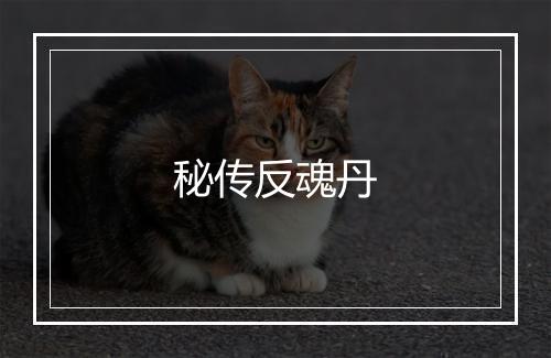 秘传反魂丹