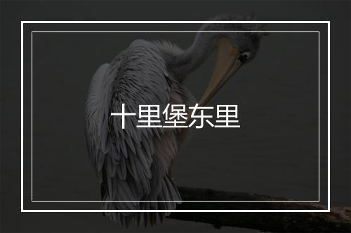 十里堡东里