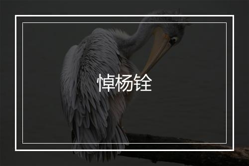 悼杨铨